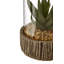 Sprague Succulent in Stone Jar-32124294-32124298