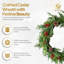 Polyethylene 100cm Wreath