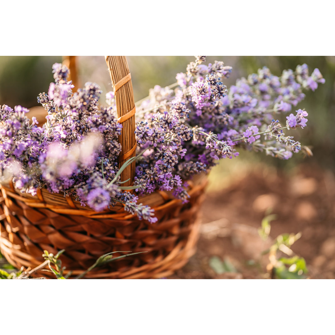 Korb mit Lavendel