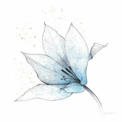 Bleu graphite fleur