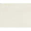 Area Rug in Cream