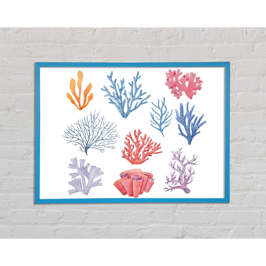 Gerahmtes Leinwandbild Sea Life Coral