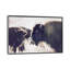 Photographie buffalo-43719316-43719323