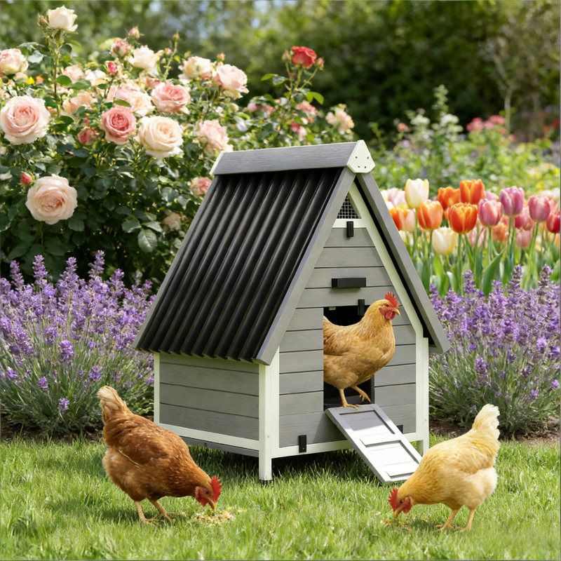 Maison pour animaux de compagnie, poulailler en bois, poulailler