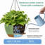Ensemble de 2 jardinières suspendues en plastique de 30 cm (12 pouces), design bicolore avec bac à eau intégré, chaînes et crochets en fer pour balcon, terrasse et jardin. Plusieurs couleurs disponibles.-2109083948