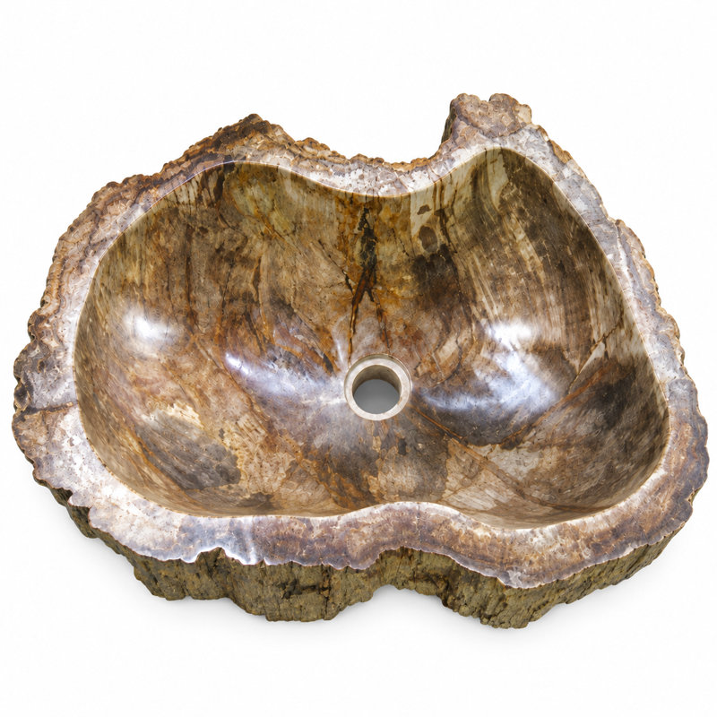 Lavabo en bois pétrifié, naturel