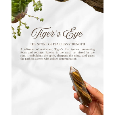 Ensemble de literie avec housses de coussin et housse de couette