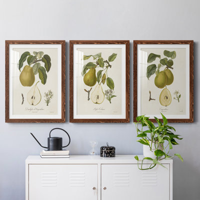 Vintage Pears I Premium encadré mat - prêt à être accroché