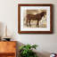 Cheval occidental I - cadre photo-1547326365-1547326356