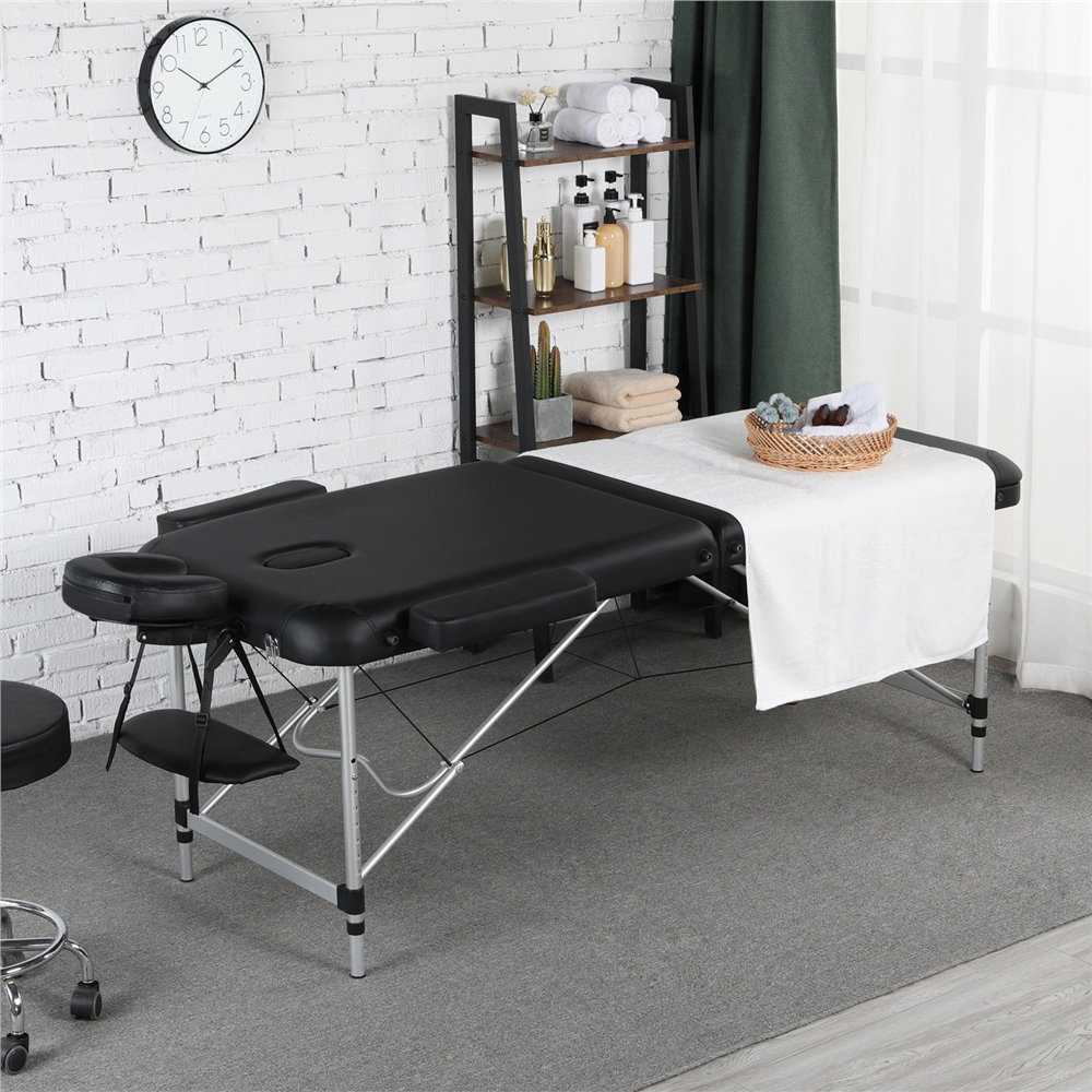 Crenwick Portable 3-Fold Aluminum Frame Massage Bed with Headrest Alwyn Home