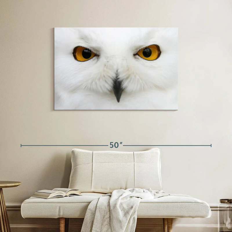 Brampt yeux de chouette des neiges, H 26 po x l 39 po