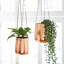 Iron Hanging Planter-110956617