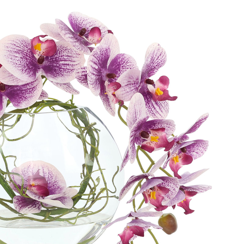 Orchid and Vine Arrangement in Glass Vase, Purple