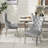 Velvet Upholstered Dining Chairs with Stainless Steel Legs-835576863