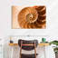 Coque Aletra Nautilus à l'intérieur-107680916