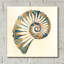 «Shell I» par Studio Mousseau-79918405