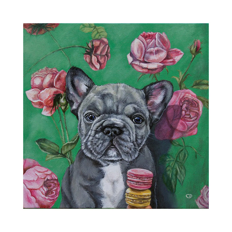 Frenchie, H 12 po x l 12 po x P 0,75 po