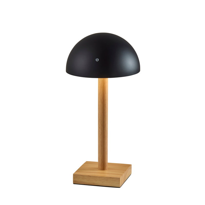 Nash LED Cordless Table Lamp, Black, Black