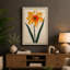 Daffodil Study Botanical - Wrapped Canvas-260314646-260314642
