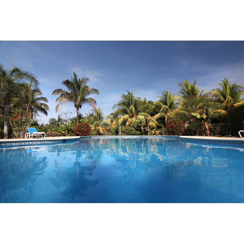 Piscine tropicale par Nico_Blue, H 12 po x l 18 po