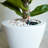 2-Pack Smart Self-Watering Planter Pot For Indoor And Outdoor - Round Cone-1018575362