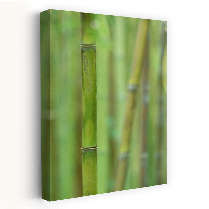 «Bamboo IV Peaceful Serene Abstract Bamboo Forest Nature Art», H 24 po x l 16 po