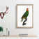 Red-Lored Amazon Parrot by F. Levaillant - Picture Frame Painting Print