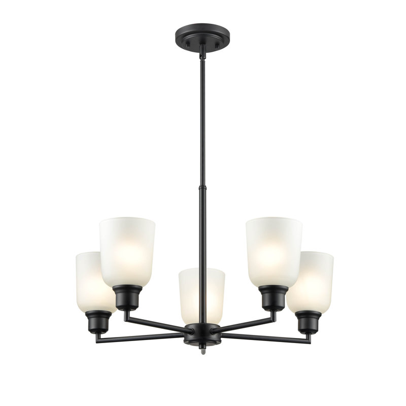 5 lumières 24 po Lustre noir mat