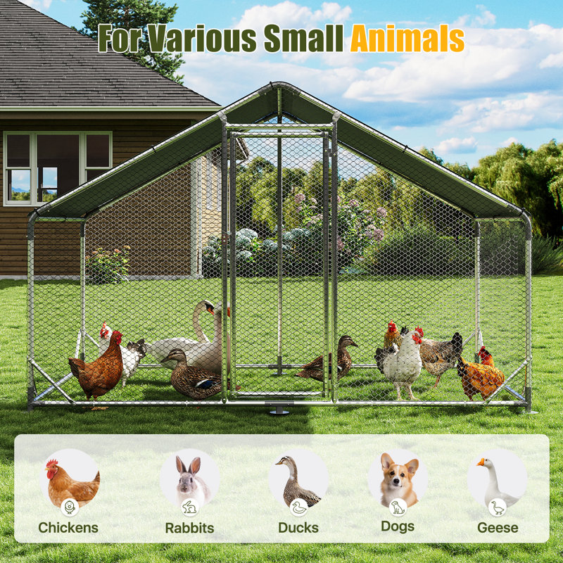 Walk In Chicken Coop for up to 48 Chickens, 194.1cm H x 199.9cm W x 300.2cm D