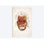 « einstein » par jason ratliff, impression sur toile-73559773-73559774-31918707