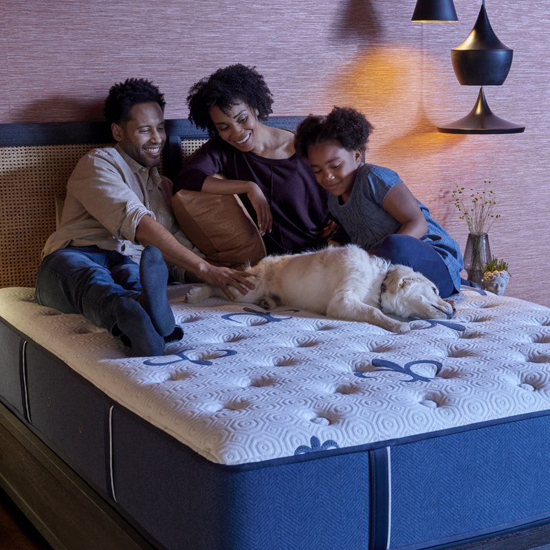 Stearns & Foster Studio 14" Medium Tight Top Mattress, Extra-long Twin
