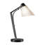 Lampe de bureau 21,9 po Reach-114977265-114977269
