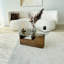 Table basse-1989573238-1989573239