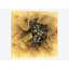 « raisins ii », impression sur toile-28956747-74620645-74620646