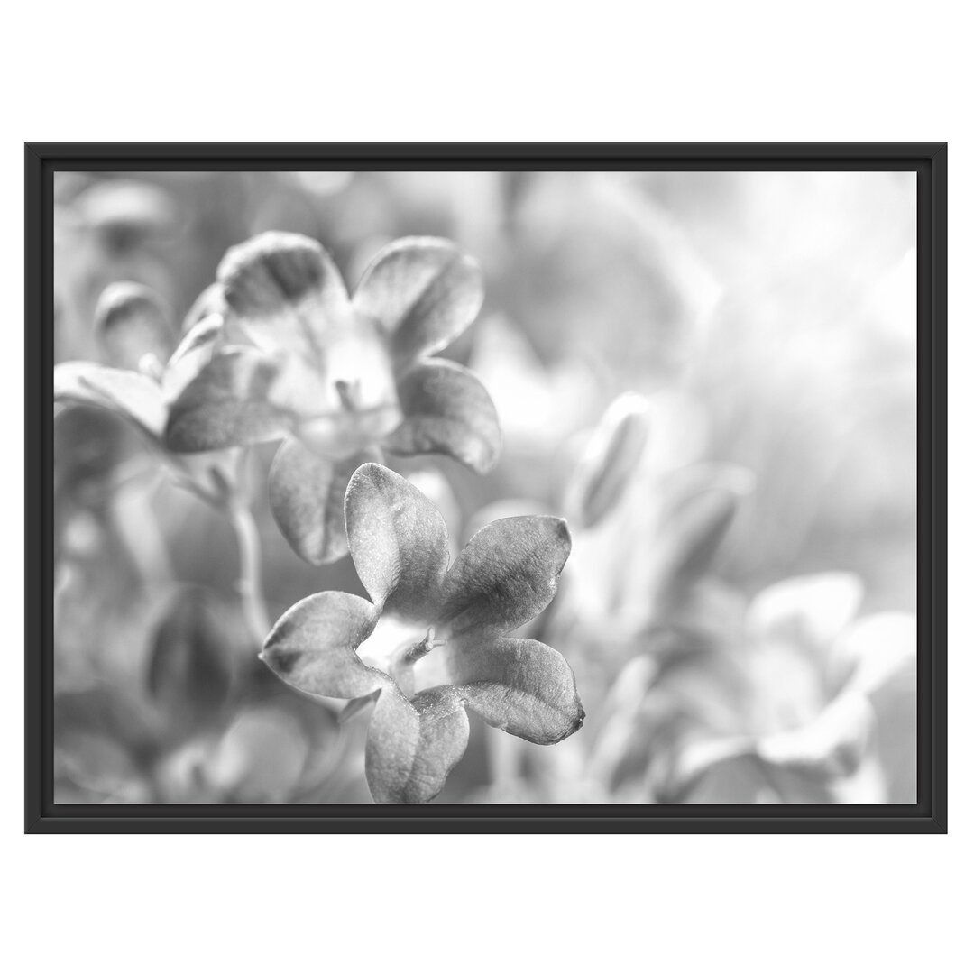 Gerahmtes Wandbild Lilane Lavendelblumen Kunst B&W