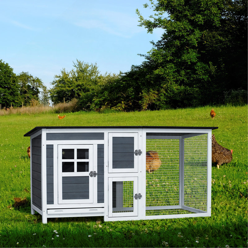 Cage à poulets pour l'extérieur