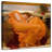 Leisha Flaming June-109399994