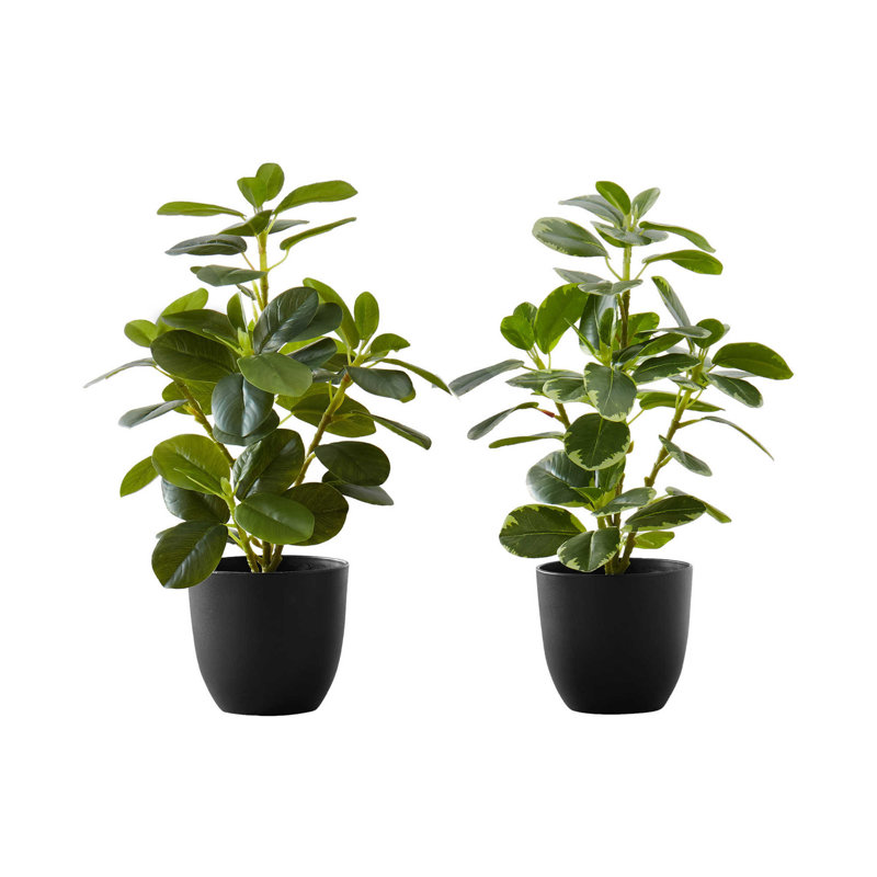 Plante artificielle, Noir