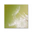 « green », impression sur toile tendue-22673559