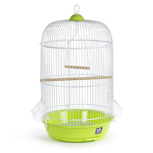 Ciani 24 Plastic Dome Top Hanging Bird Cage with Perch