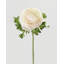 Cream Silk Ranunculus 21”