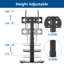 Rfiver Single Screen Floor Stand Mount