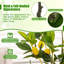 Faux citronnier 32 '' en pot-203583235