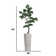 76" Artificial Faux Bonsai Tree In A Tall White Planter