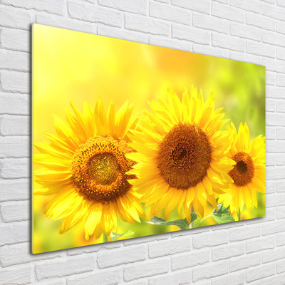 Sunflowers - No Frame Print on Glass