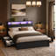Lit Livia moderne King Full avec 4 tiroirs et tête de lit ouverte avec rangement, lampe DEL réglable et station de recharge, sommier non requis-957166410-960648542