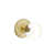 Satin Brass