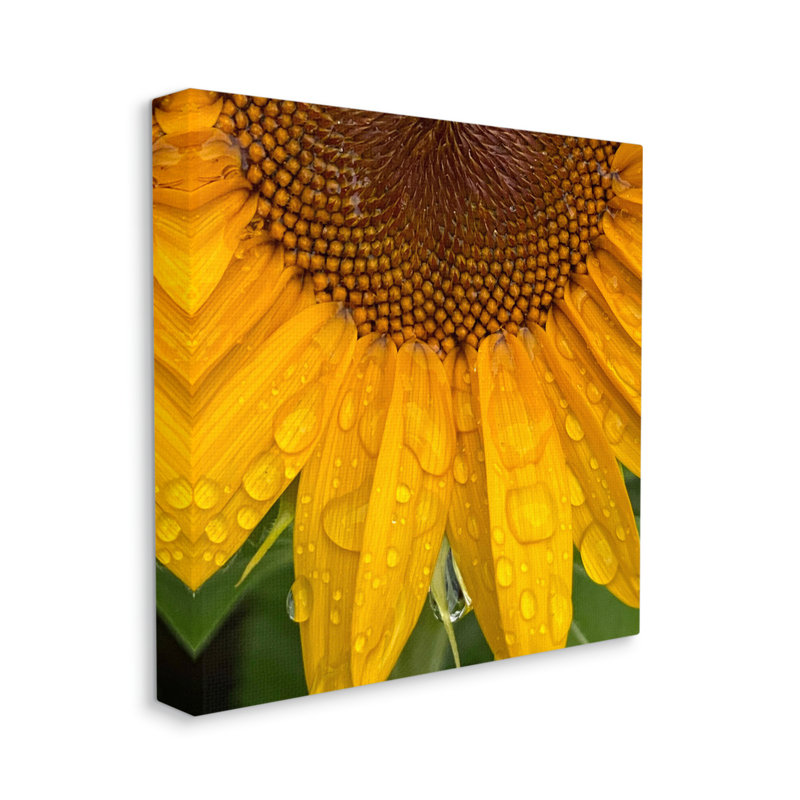 Au-720-Toile, gouttelettes d'eau, tournesol, nature sur toile par Gloria Palmer, H 17 po x l 17 po x P 1,5 po