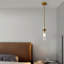 Luminaire suspendu 1 lumière-362770382