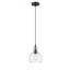 Mini-luminaire suspendu Chiloe Lighting Leilani - H 9,75 po transitionnel 1 lumière bronze huilé avec une largeur de 7,5 po